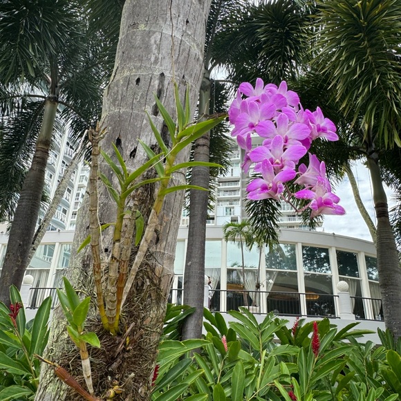 Not For Sale - Picture 8 of 12